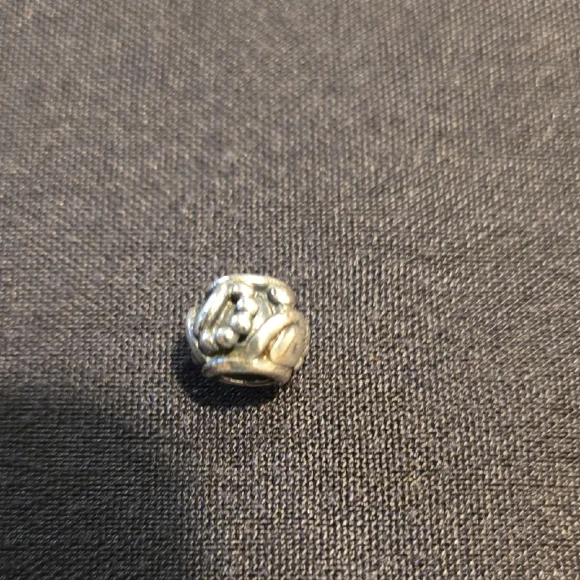 Trollbeads Sterling Silver Foxtail Bracelet - Picture 7 of 8